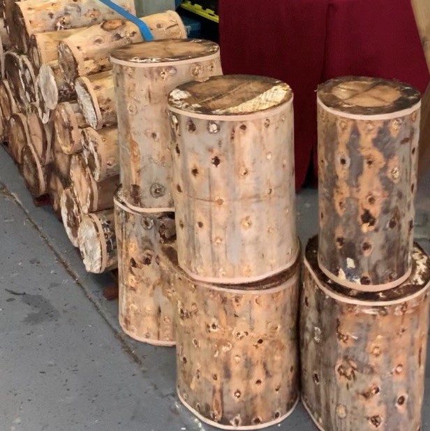 Picture of Logs 1